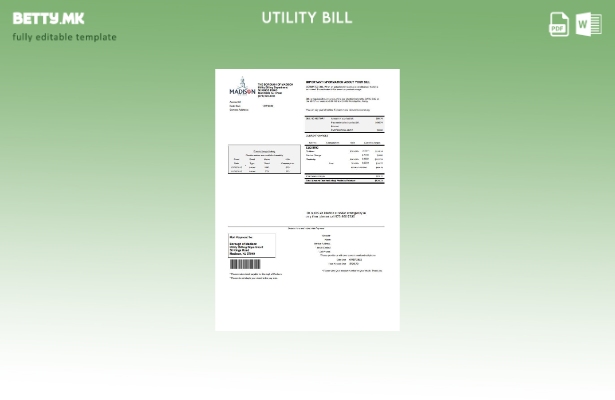 модерен стил на САД Њу Џерси Шаблон за комунални сметки за општина Медисон